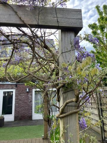 B&B Schiphol Amsterdam Rijsenhout ภายนอก รูปภาพ